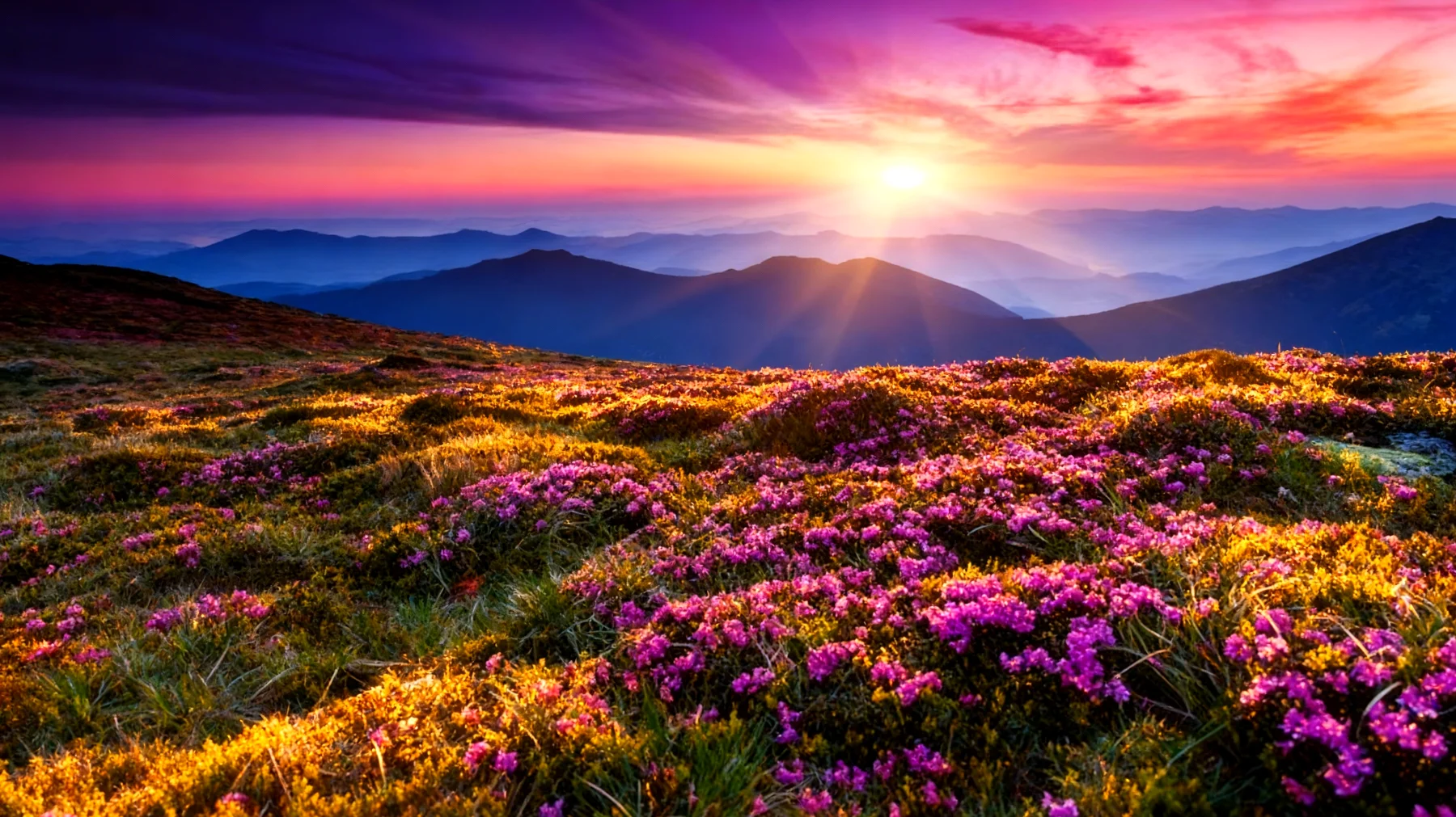 Beautiful 2026-01-28T22:33:31.874Z"